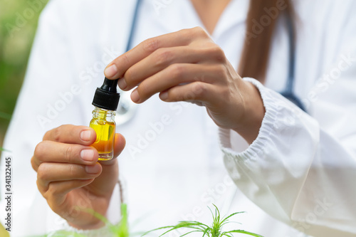 doctor is researching hemp oil. Cannabis Herb Research, Medical marijuana, CBD hemp oil research.