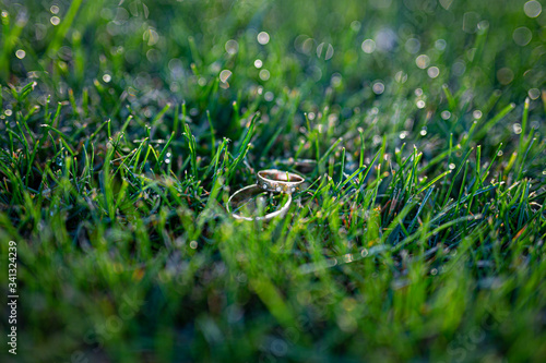 Two Gold wedding rings on the grass. Creative wedding shot. © zamuruev