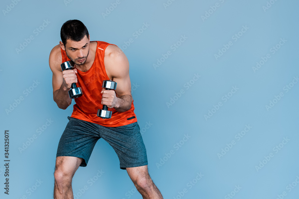 bearded sportsman exercising with dumbbells isolated on blue bearded sportsman exercising with dumbbells isolated on blue