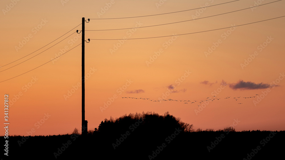 Power line silhouette with forest in foreground and flying birds in distance (high ISO image)