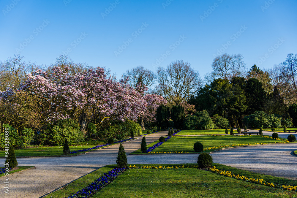 park spring outside natural trees flowers cherry