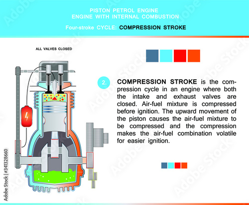 Piston engine four stroke cycle in structural cross section for education