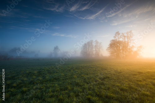 Morning glowlandschaft, nebel, himmel, natur, morning, baum, wald, feld, sonnenaufgang, morgen, sonne, gras, wiese, nebel, herbst, baum, cloud, cloud, sommer, green, sonnenlicht, blau, spring 