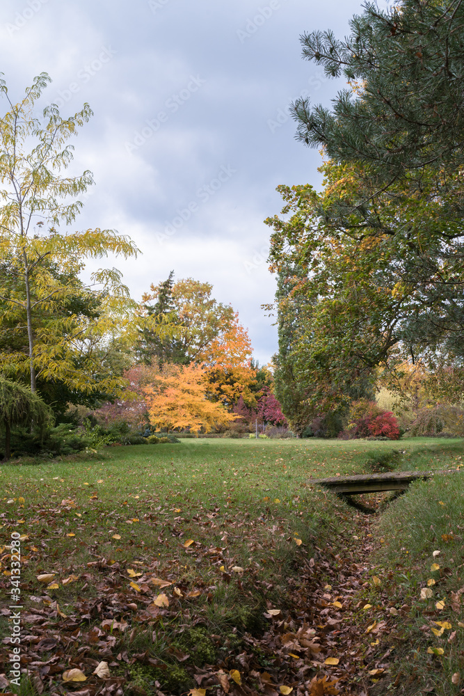 lawn in an ornamental garden and a ditch with a wooden footbridge, linden trees with thick branches on the right side