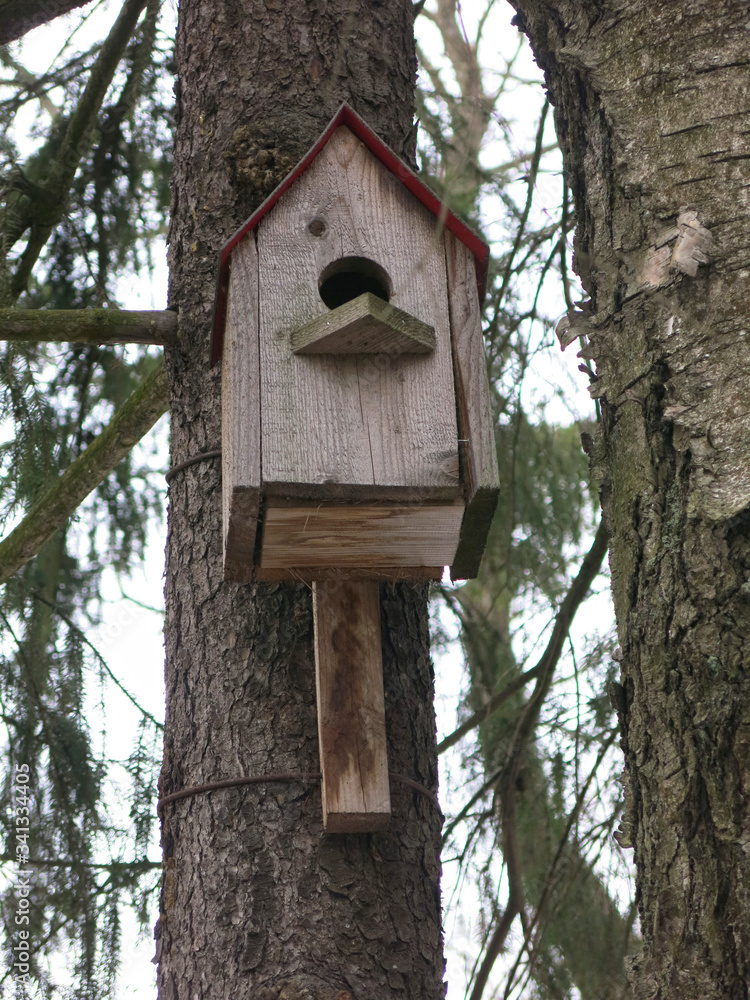 a wooden birdhouse hangs on a fir tree