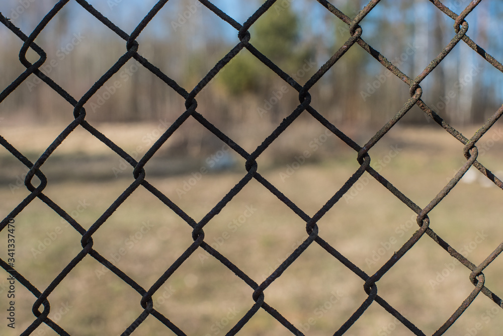 Metal grid. The nature behind the fence. Texture. The texture of the metal. Metal grid. The nature behind the fence. Texture. The texture of the metal.