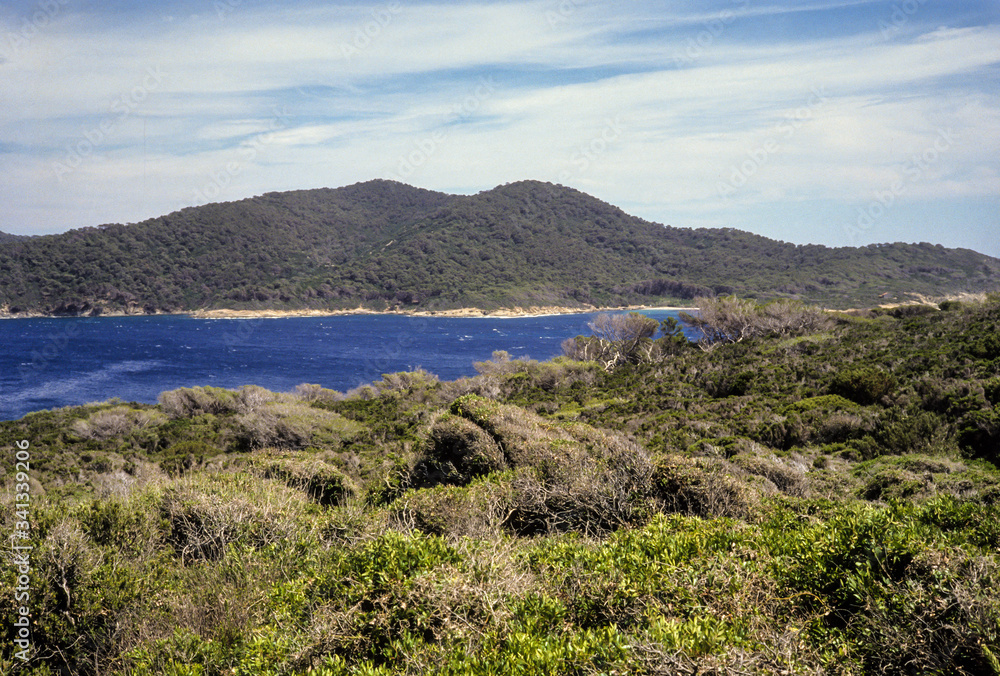 Parc national de Port Cros, Ile de Port Cros, Var, 83, îles d'Hyères