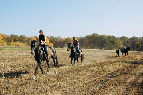 Horseback riding from behind overlooking wide open field and forest. Friends enjoying free time for spending in country horses club. Hobby, sport, resort and ranch concept.