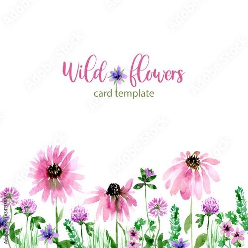 Watercolor loose style echinacea  stork and clover flower and green leaves card. Modern trendy template for invitation  wedding  banner  greeting card design. Poster print with wild florals