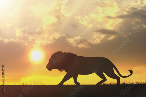 African landscape at sunset with silhouette of a bigadult lion, 3d render 