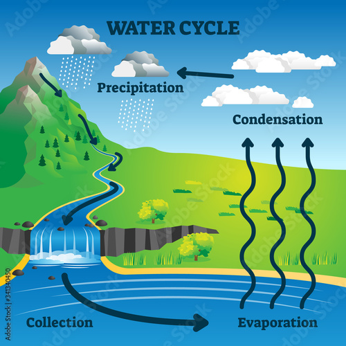 Water cycle vector illustration. Labeled earth hydrologic process explanation