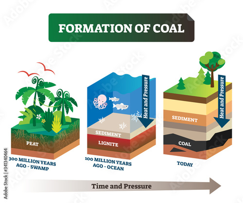 Fotografia Formation of coal vector illustration