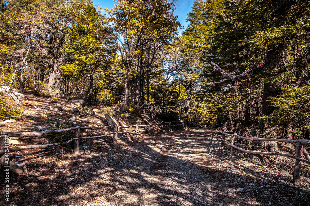 forest, nature, trees, tree, path, autumn, landscape, wood, woods, spring, road, fall, green, trail, park, leaves, grass, hiking, woodland, sky, leaf, outdoor, outdoors, environment, stream forest, nature, trees, tree, path, autumn, landscape, wood, woods, spring, road, fall, green, trail, park, leaves, grass, hiking, woodland, sky, leaf, outdoor, outdoors, environment, stream