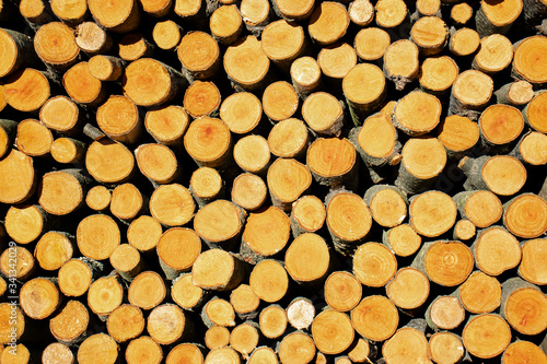 stack of firewood