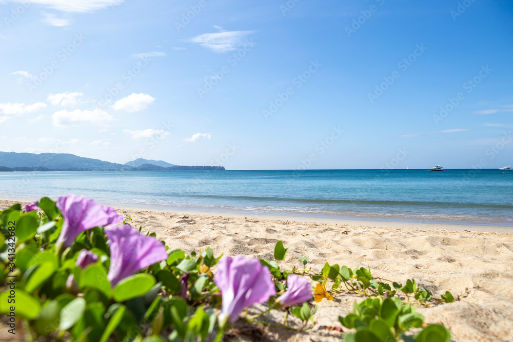 Summer beach in South of Thailand, Phuket island, holiday and vacation destination in Asia, peaceful beach, park and outdoor