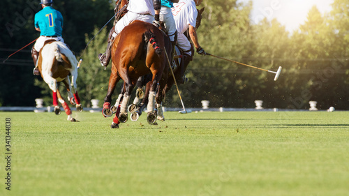 A horse Polo players with a mallet in game action, back view.