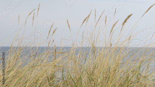 Landscape Baltic Sea