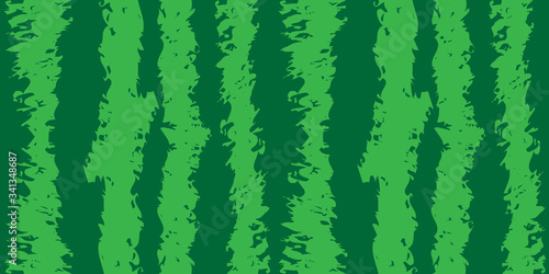 Watermelon peel seamless pattern. Food texture. Background, wallpaper of summer.
