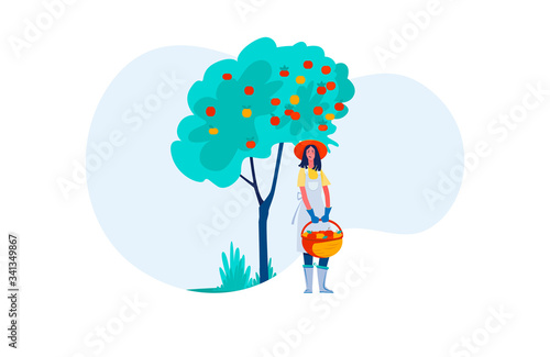 Female farmer picking apples. Young woman gathering harvest flat vector illustration. Farming, gardening, autumn concept for banner, website design or landing web page