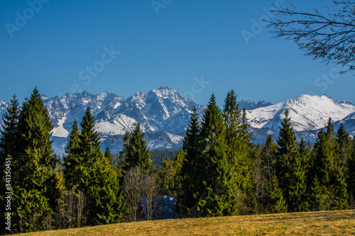 Fototapeta Naklejka Na Ścianę i Meble -  Panorama Tatr