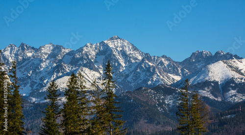 Fototapeta Naklejka Na Ścianę i Meble -  Panorama Tatr