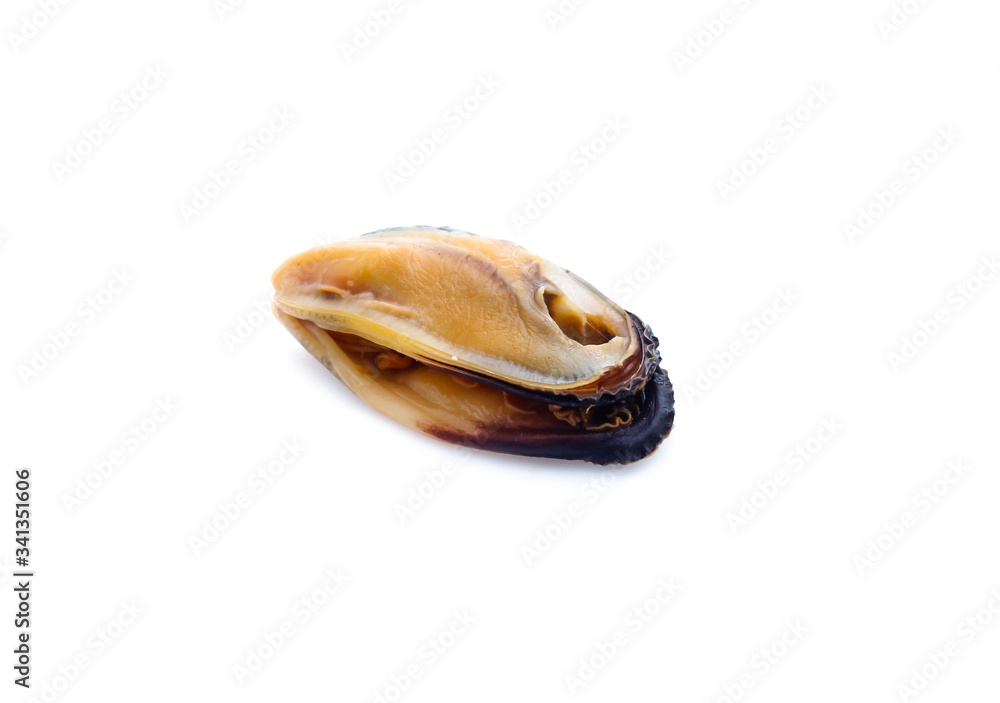 mussels isolated on white background