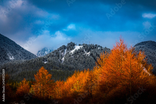 sunrise trees foot of the mountains