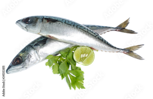 Fresh saba fish isolated on white background