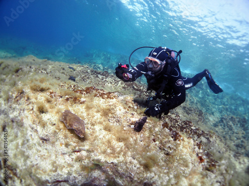 Wallpaper Mural Scuba Diving Malta Gozo Comino Torontodigital.ca