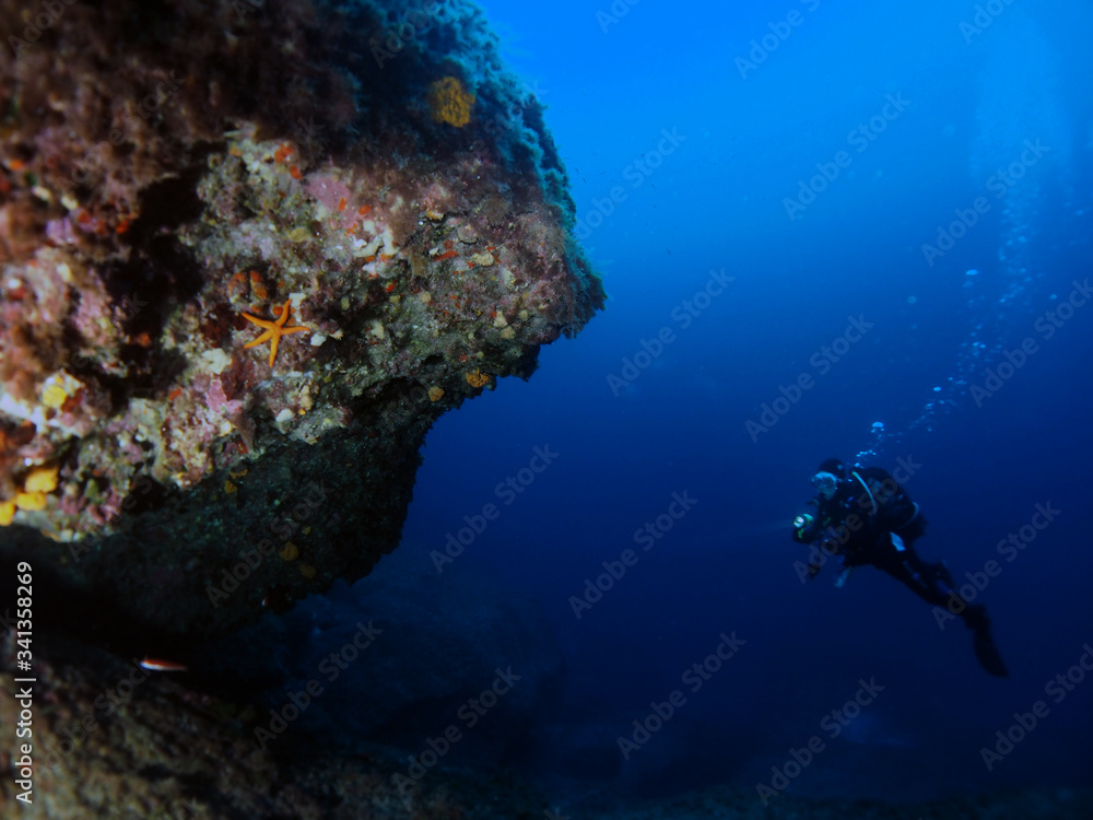 custom made wallpaper toronto digitalScuba Diving Malta Gozo Comino