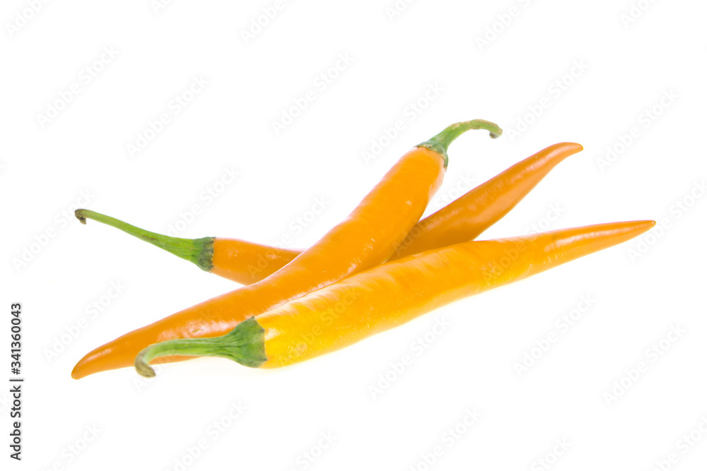 chilli isolated on white background chilli isolated on white background