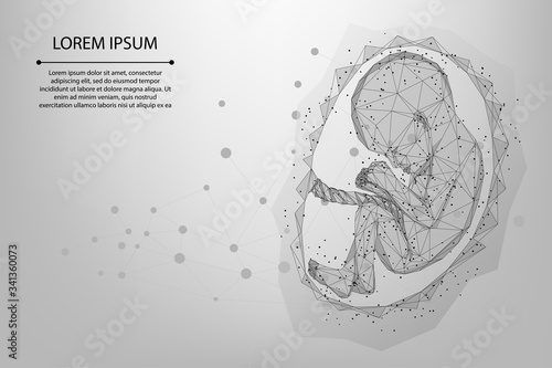 Abstract mesh and line Pregnancy Low poly wireframe illustration of baby