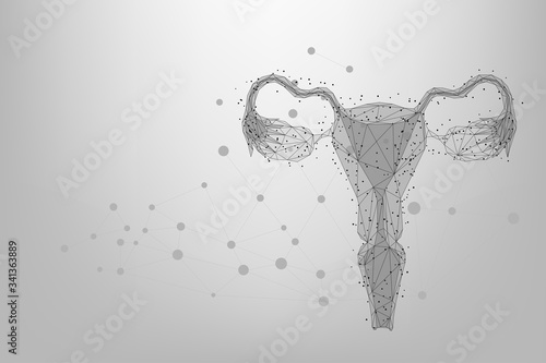 Abstract mesh line and point Ovaries. Low poly female reproductive organs uterus and ovaries health care. Polygonal illustration photo
