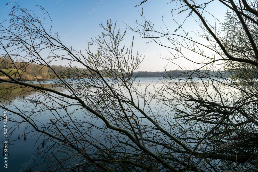 Evening landscape with lake and dark silhouettes of tree branches in the foreground in the nature reserve Wilgenbos Almere de Vaart. Sunset on a forest lake in a sunny haze. Evening landscape with lake and dark silhouettes of tree branches in the foreground in the nature reserve Wilgenbos Almere de Vaart. Sunset on a forest lake in a sunny haze.