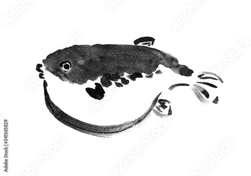 生物のイラスト 魚 魚介類 和食 ふぐ 定番料理 ふくれる 墨絵 白身 ふくらむ 海の幸 シーフード 墨 魚介類 鍋 河豚 高級食材 鍋物 虎河豚 とらふぐ 筆描き トラフグ 高級魚 手描き 筆書き 手書き 具 白バック 生き物 食べ物 食材 季節 魚