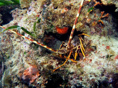 Scuba Diving Malta Gozo Comino