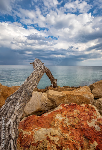 Old wood at colorful stones on a shore with beauty clouds at the horizon. Vertical view