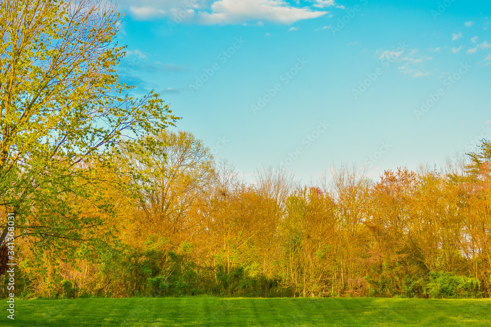 Fototapeta premium Paisaje