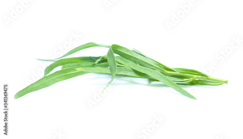 Tarragon herbs isolated on white