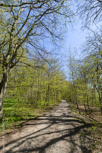 Radfahrweg und Wanderweg durch die Goor, Insel Rügen