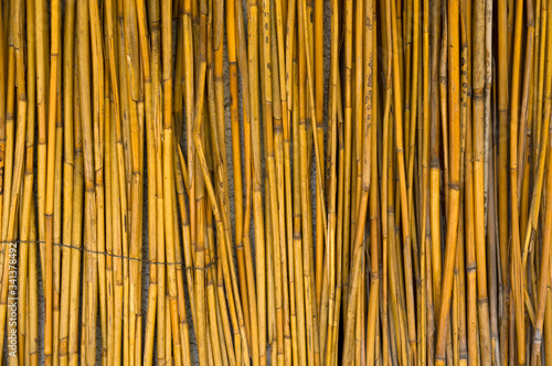 Wall texture of cattail, reed wall, natural texture.