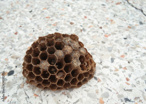 The hornet nest that was blown and fell on a marble floor.