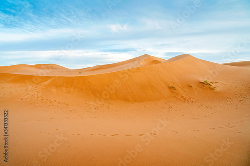 Peaceful landscape of Sahara Desert sand dunes, Morocco. © eunikas