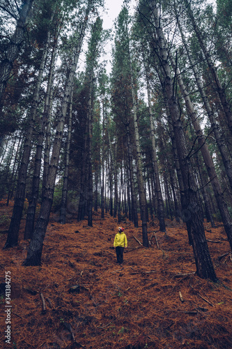 Wallpaper Mural Man standing in forest, Spain Torontodigital.ca