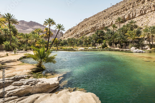 Oman, Ash Sharqiyah North Governorate, Riverbed surrounded by palm trees in Wadi Bani Khalid photo