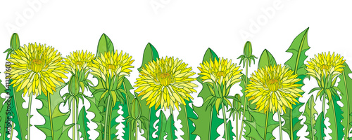 Horizontal seamless pattern with outline yellow Dandelion flower, bud and green leaves on the white background.