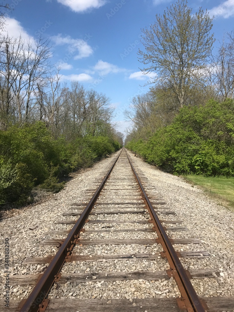 Train Tracks Going Straight Back Into Woods