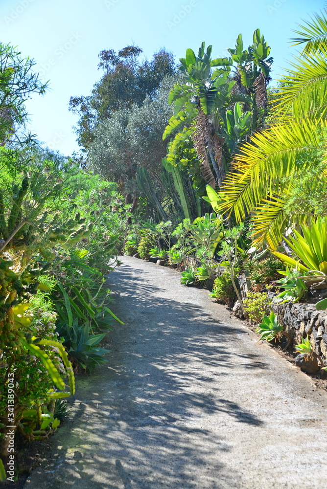 Obraz premium Teneriffa,#0708