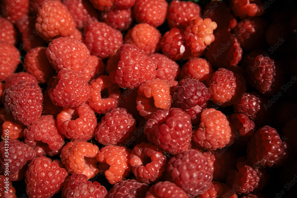 red raspberries background red raspberries background