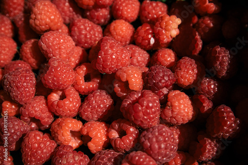 red raspberries background